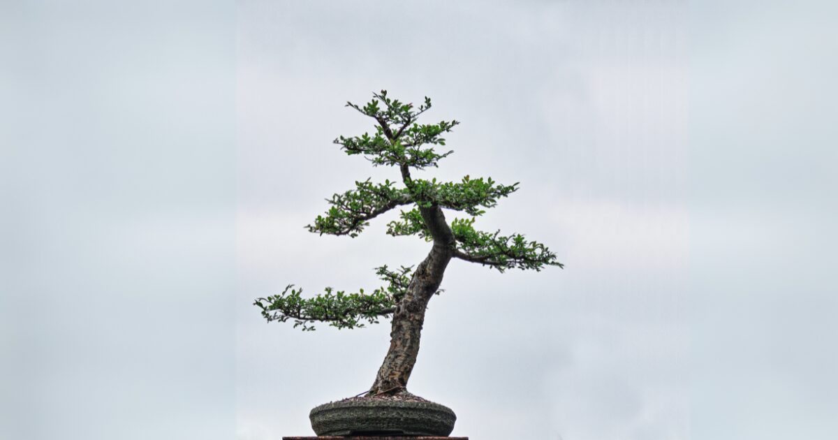 修業