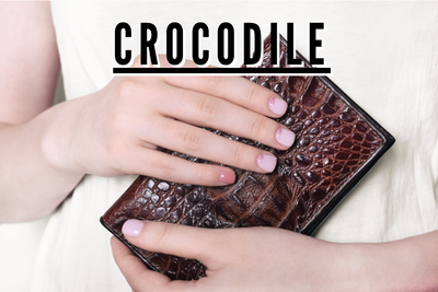 CROCODILEの財布