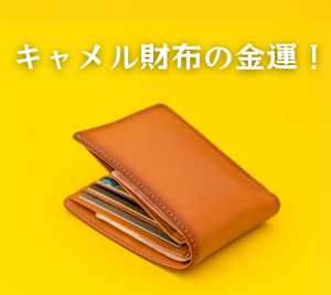 キャメル財布の風水と金運