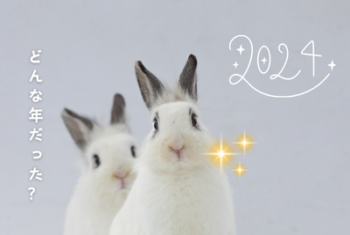 2024年を振り返って